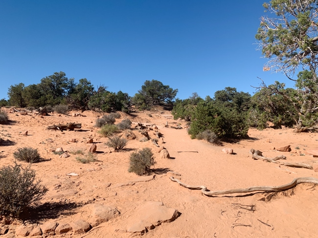 Hiking trail to Mesa Arch in Canyonlands
