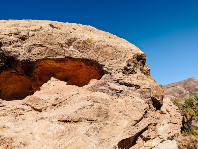 Dinosaur bones on the Mill Canyon Trail