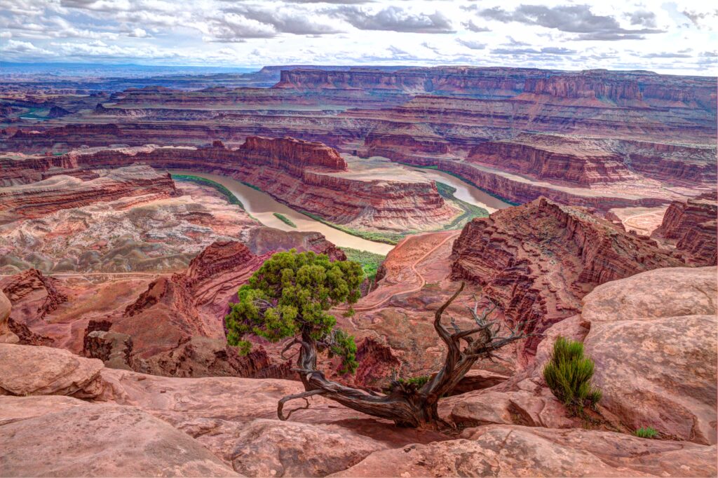 Dead Horse Point State Park