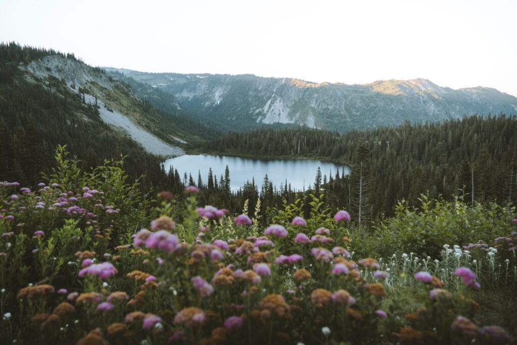 Lake in Mount Rainier National Park