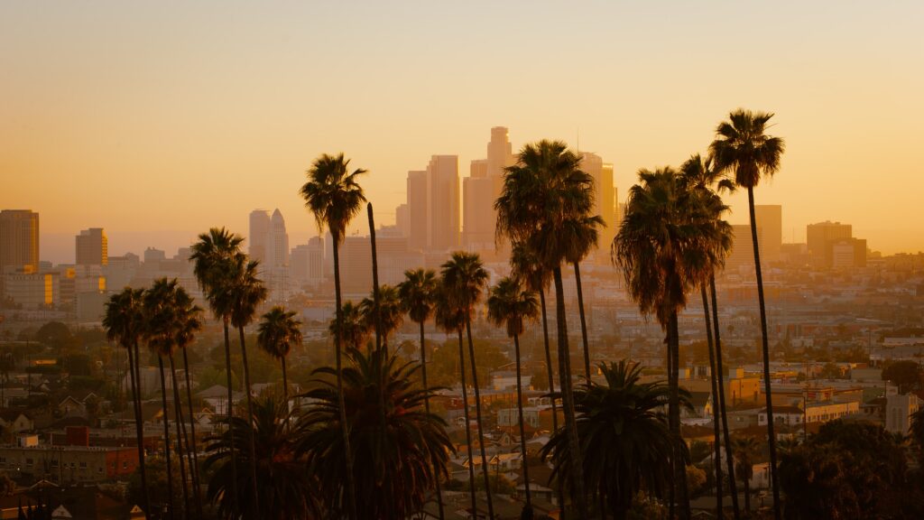 Los Angeles with palm trees