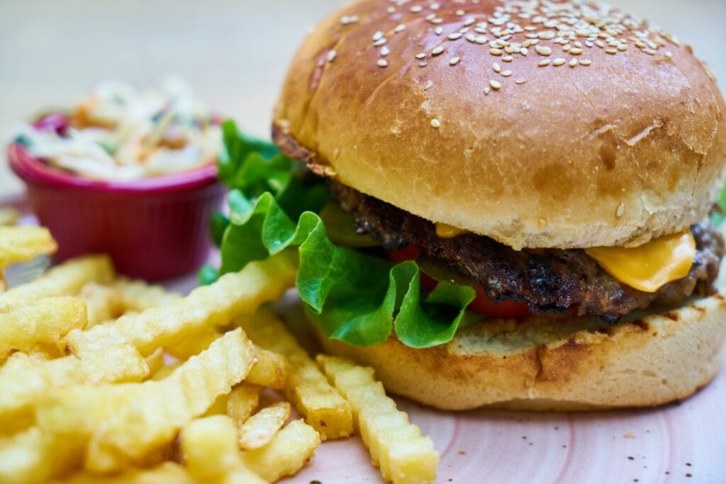 Hamburger from the Moab Food Truck Park