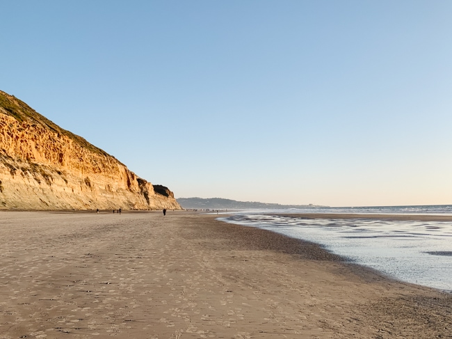 Torrey Pines State Beach
