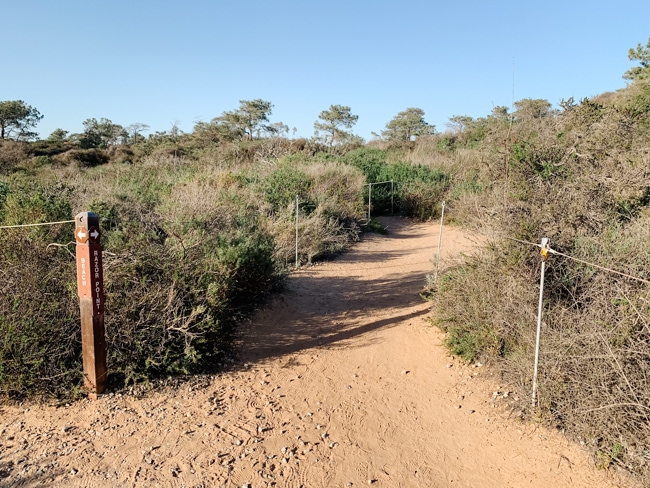 If you want to include hiking in your San Diego itinerary, head to Torrey Pines