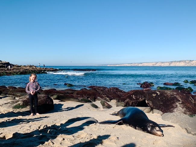 Exploring La Jolla during a San Diego itinerary