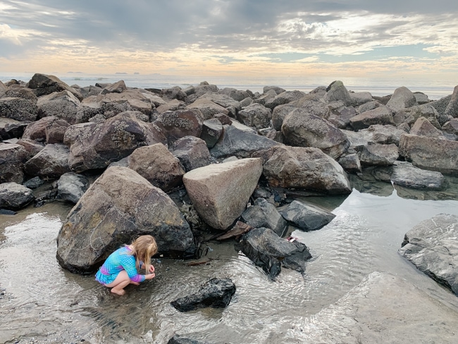 Tide pooling in Coronado
