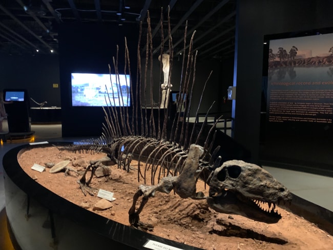 Dinosaur model in the museum