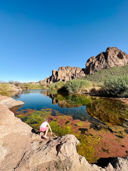 Exploring the Salt River near Phoenix, Arizona