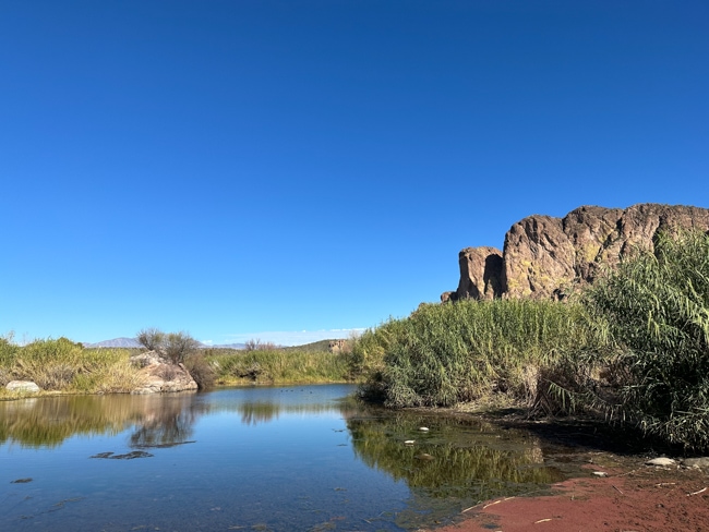 Salt River in Arizona