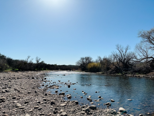 Salt River in Arizona