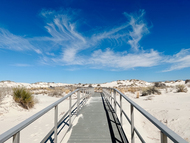 Interdune life nature trail boardwalk