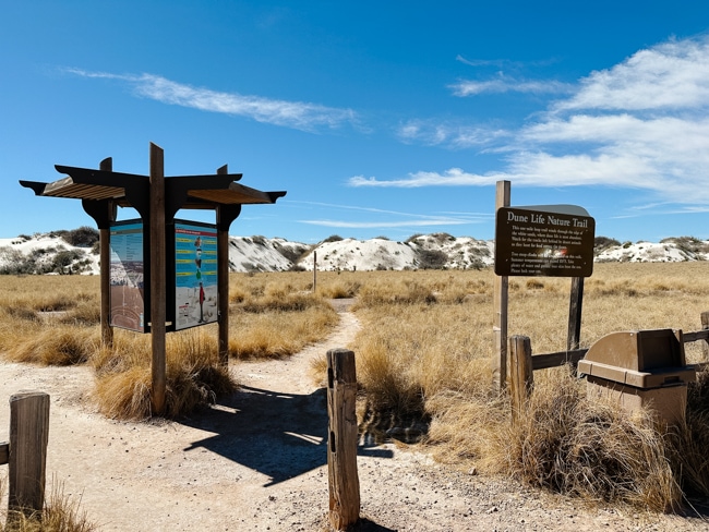 Dune Life Nature Trail is one of the best things to do in White Sands National Park