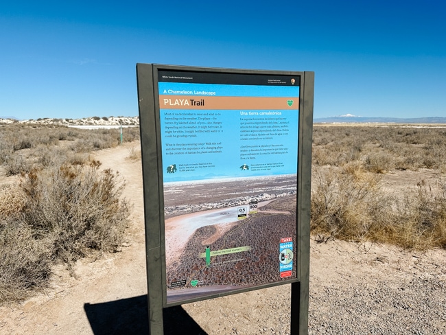 Playa Trail in White Sands National Park