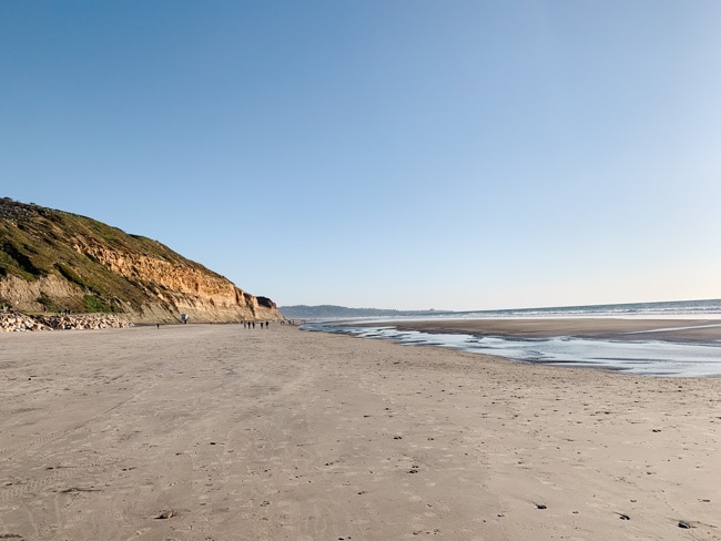 One of the prettiest hikes in Torrey Pines is the beach walk