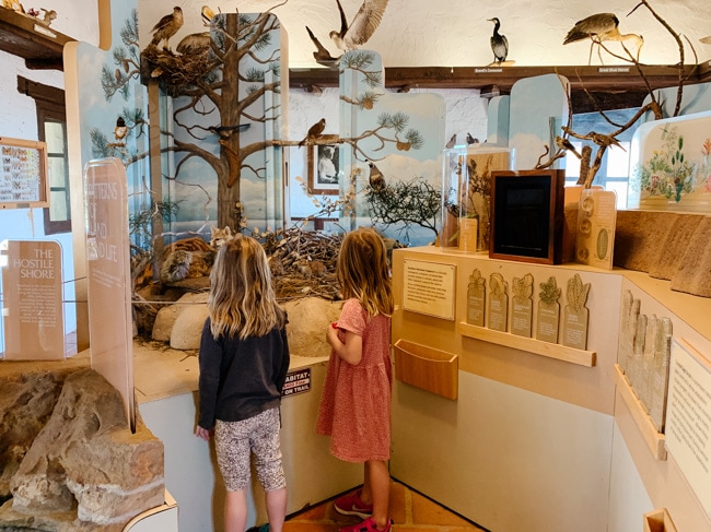 My daughters looking at the exhibits in Torrey Pines State Reserve