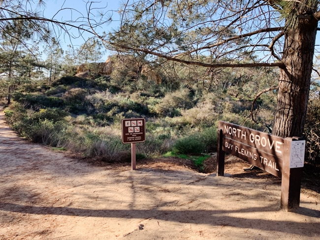 Guy Fleming Trail, one of the shortest Torrey Pines hikes