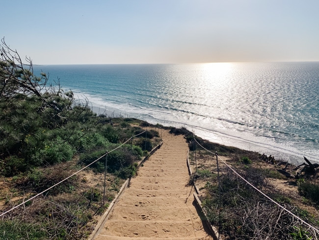 One of the Torrey Pines hikes near San Diego