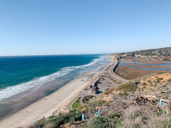 View of the Torrey Pines coastline