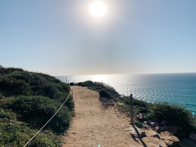 Scenic view in Torrey Pines