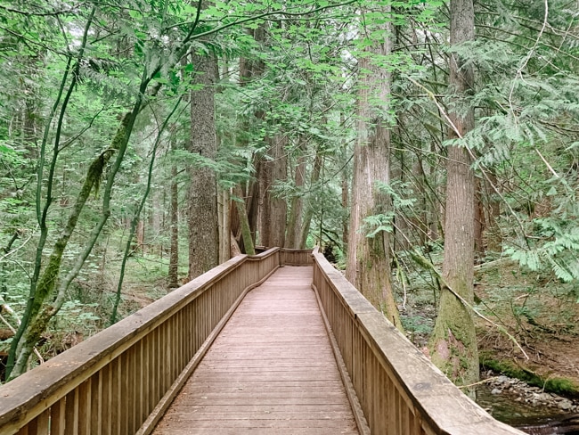 Sterling Munro Trail in North Cascades National Park