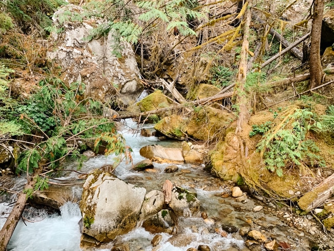 Hiking the Gorge Creek Falls Trail is a fun thing to do in North Cascades National Park for familiess