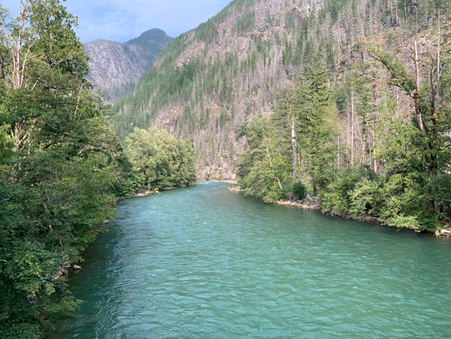 View of the Skagit River banks