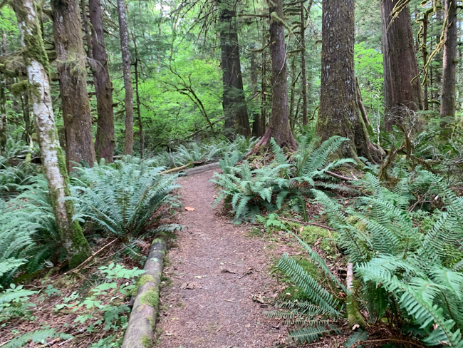 Thunder Knob Trail near North Cascades National Park in Washington