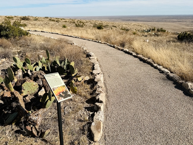 Guadalupe Ridge Trail
