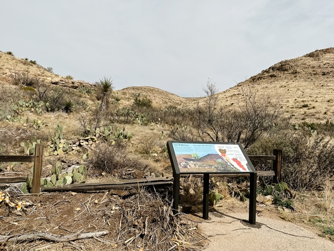 Rattlesnake Springs