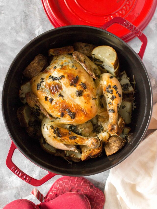 The Best Dutch Oven Chicken Recipes For Camping - CS Ginger Travel