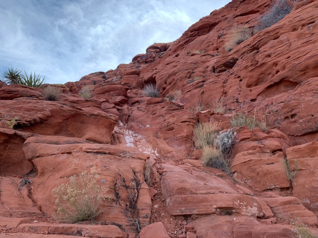 Hiking trail near Las Vegas