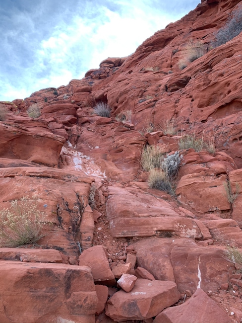 11 Best Red Rock Canyon Tours in 2023 - CS Ginger Travel