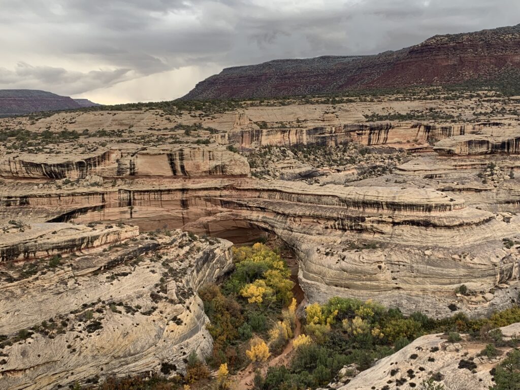 Natural Bridges National Monument in Southern Utah