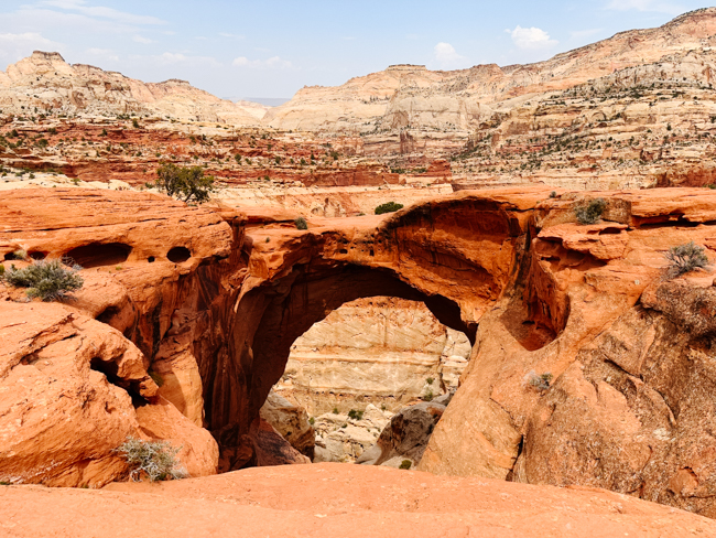 Cassidy Arch in Capitol Reef