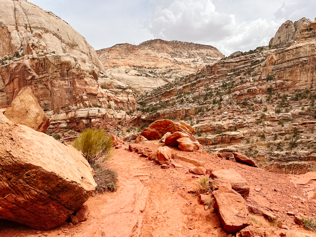 Hiking trail in Capitol Reef