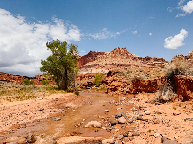 Wash trail in one of the national parks in Utah