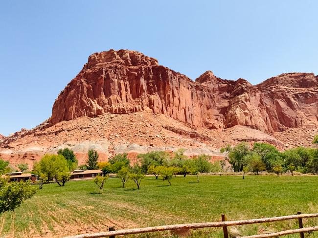 Orchard in Capitol Reef National Park