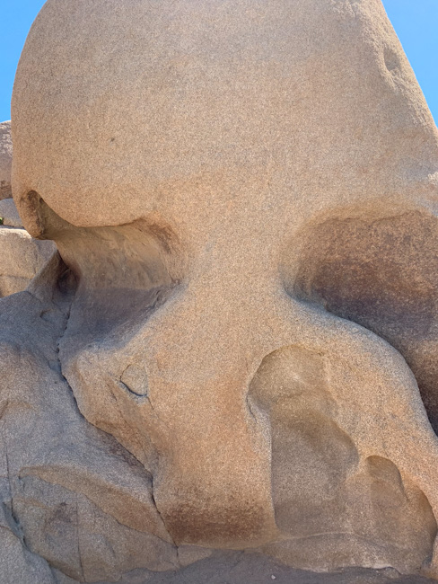 Skull Rock in Joshua Tree National Park.
