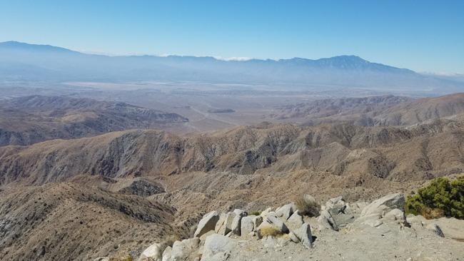 A scenic view at Joshua Tree National Park.
