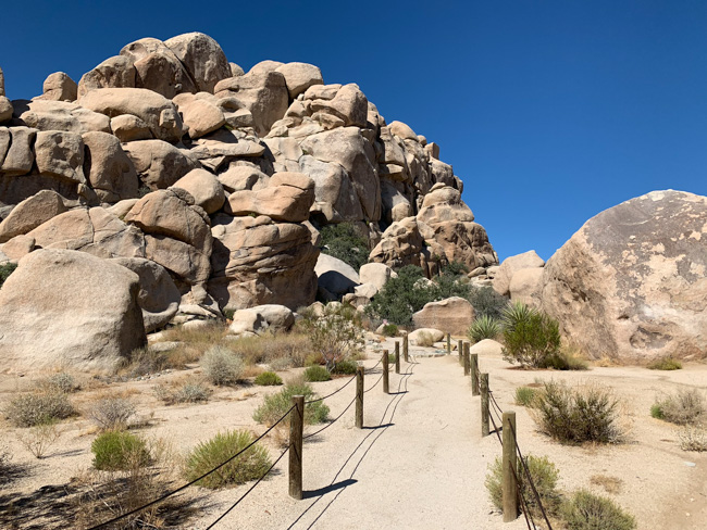 A hiking trail in Joshua Tree in December.