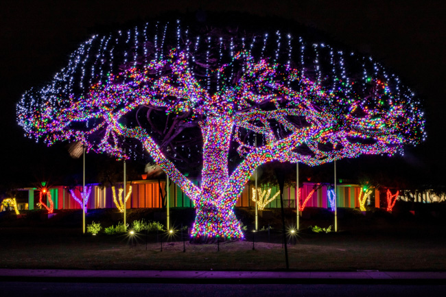 Large tree completely covered in colorful Christmas lights.