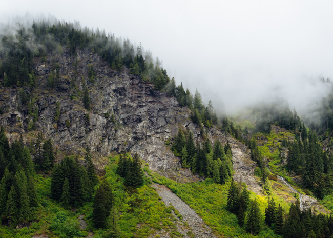 Wilderness near Seattle.