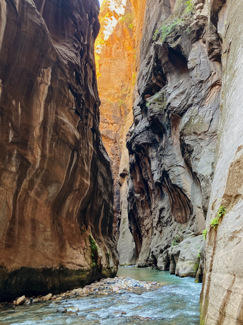The Narrows is one of the coldest things to do in Zion National Park in December