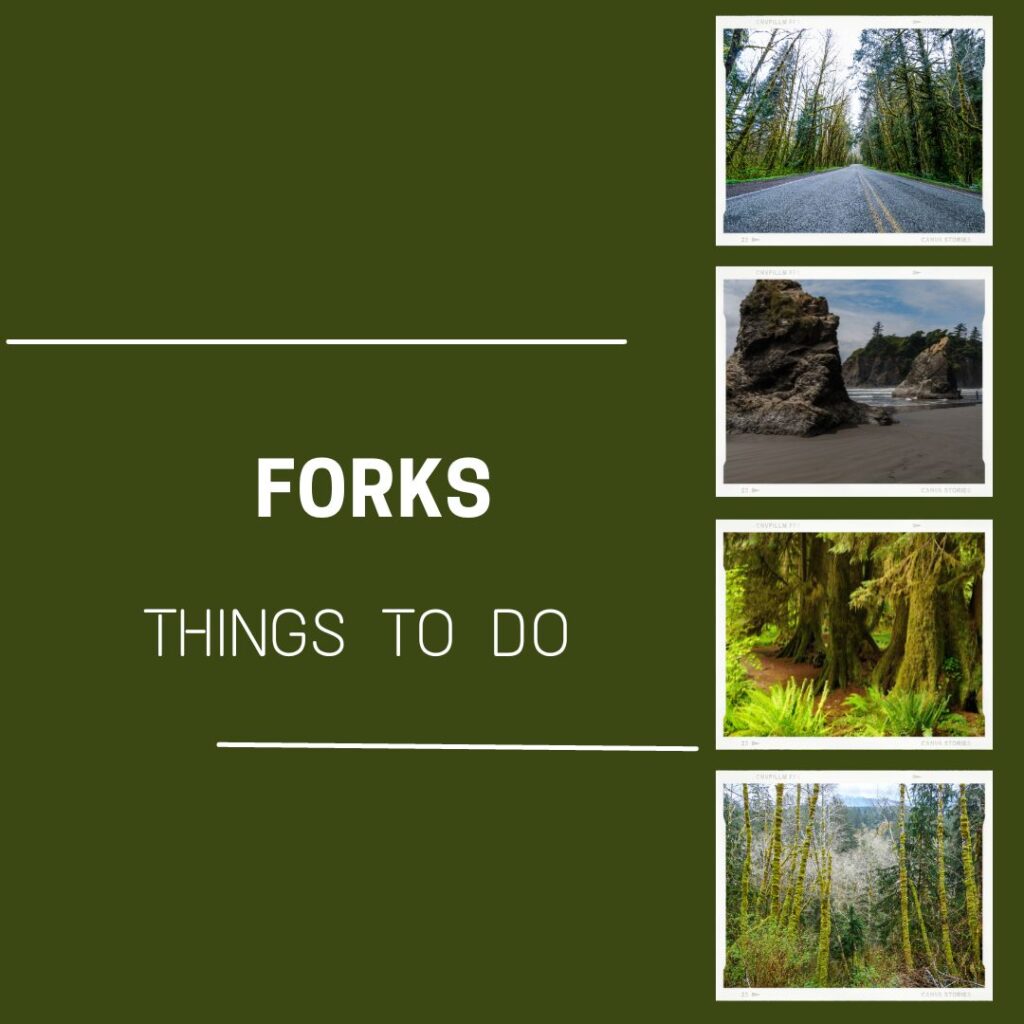 Forks Washington graphic