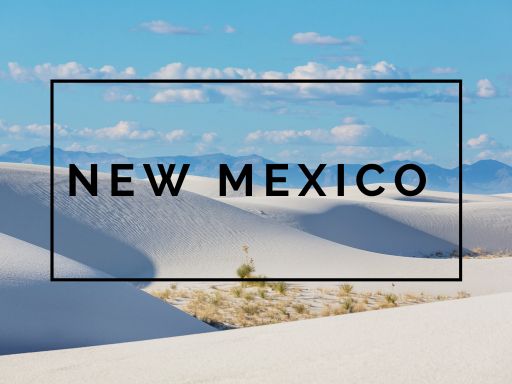 New Mexco graphic
