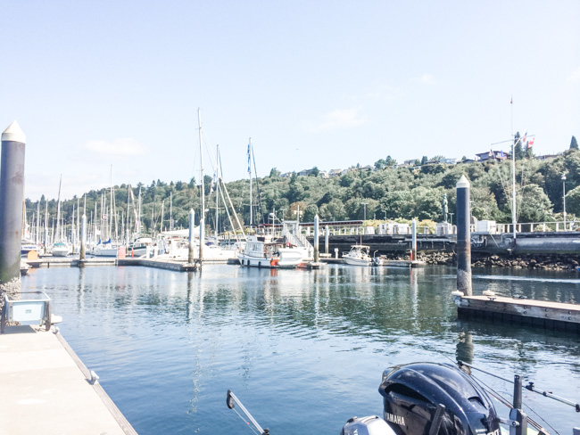 Marina view of where some of the Seattle boat tours depart from.