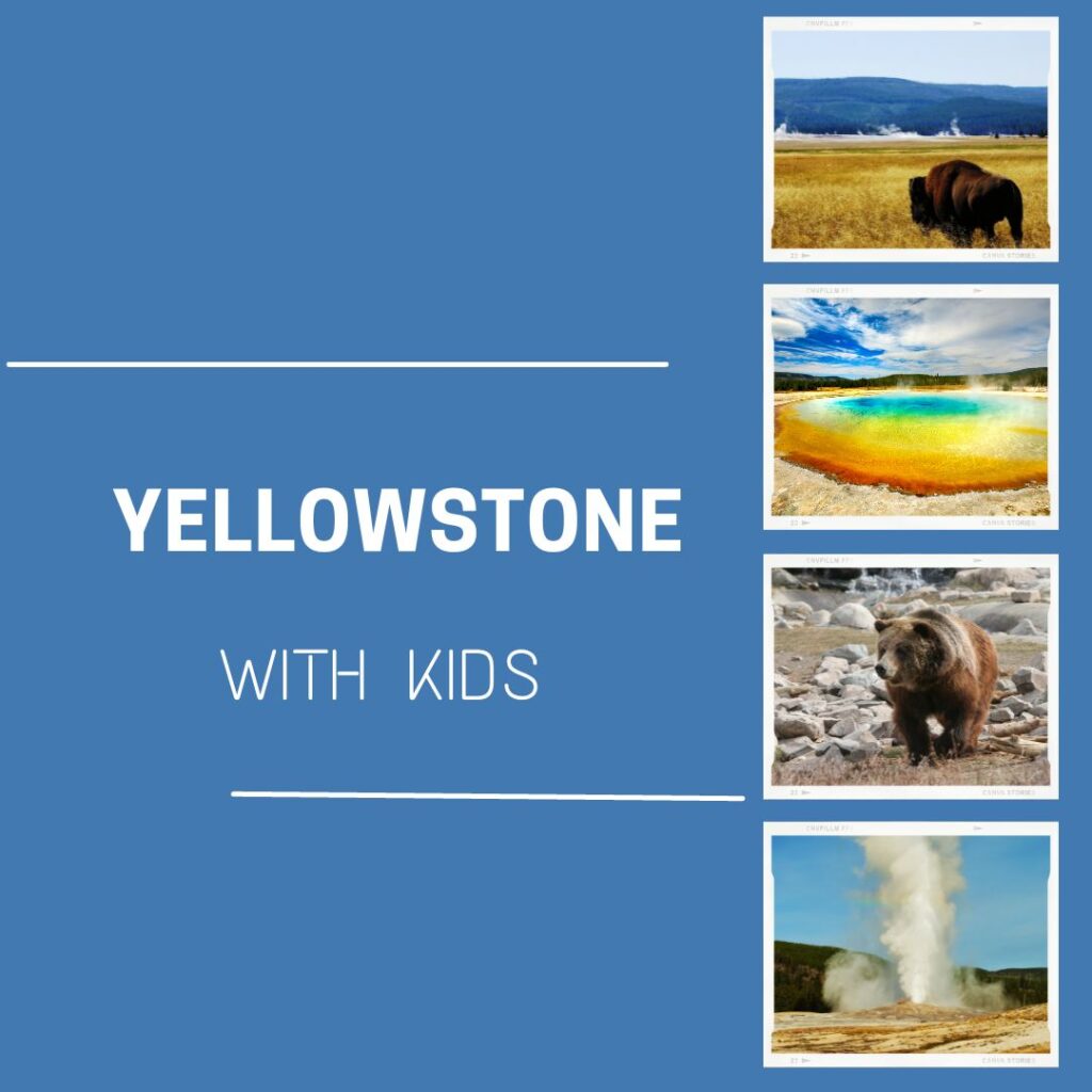 Yellowstone with kids graphic