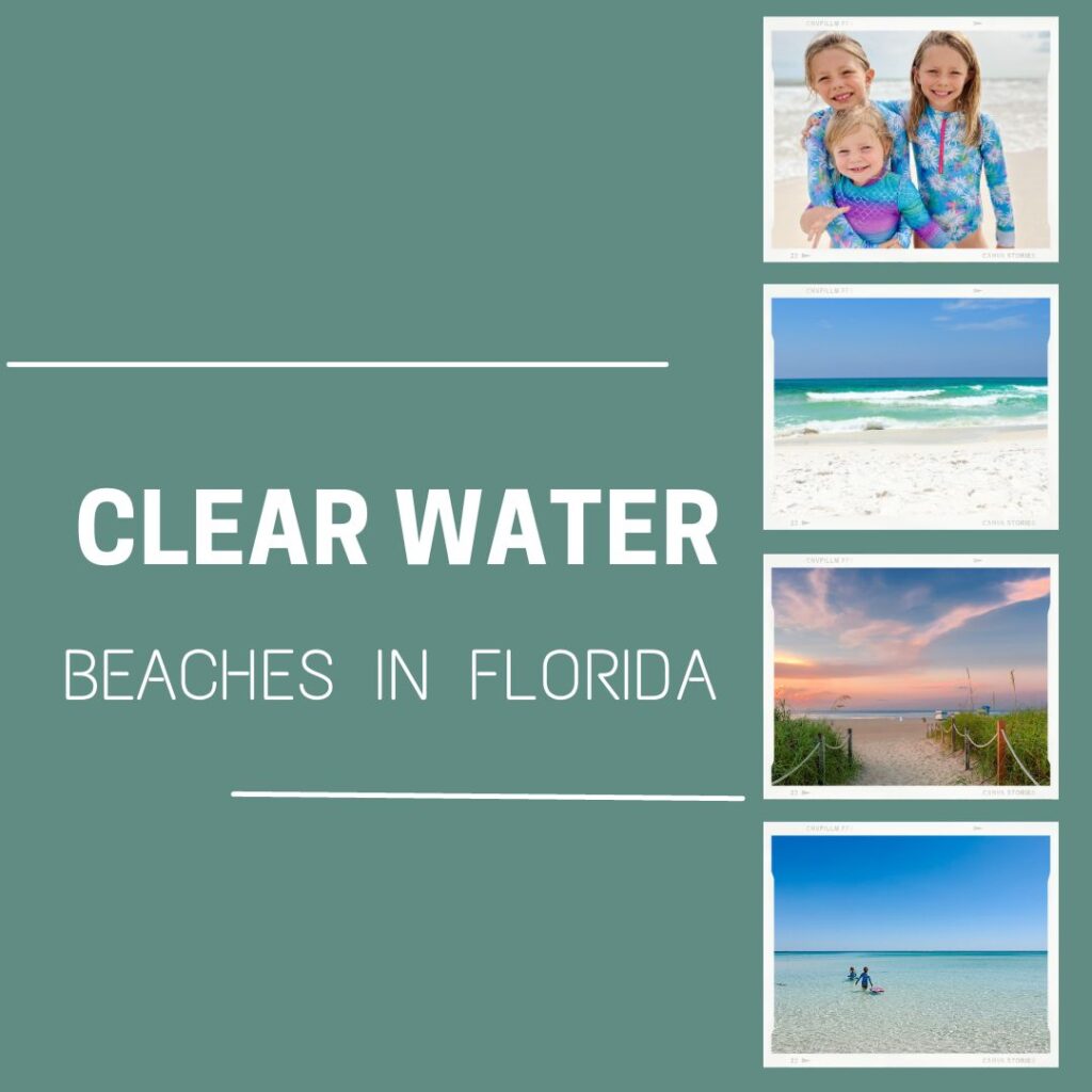 Clearwater beaches in Florida graphic