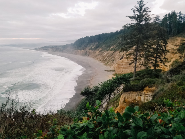 Trees on the cliffs and shoreline in Redwood National Park, one of the best places to visit in California in winter.