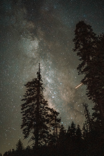 Starry night sky in Sequoia National Park in December.